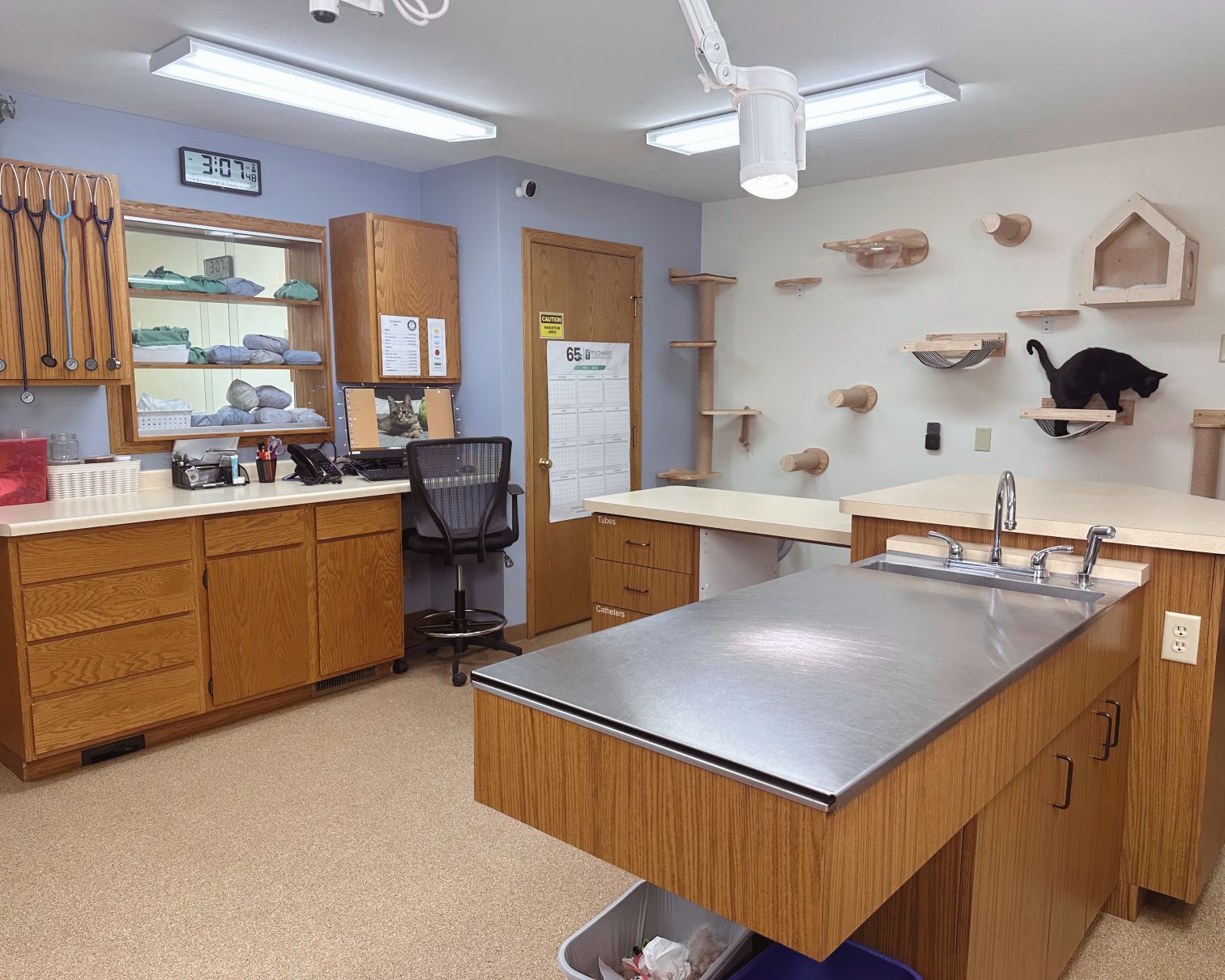 Treatment Room